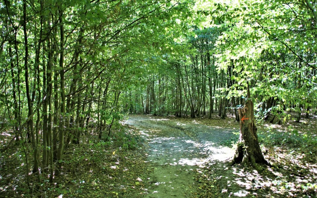 Balade de Gembloux à Chenémont