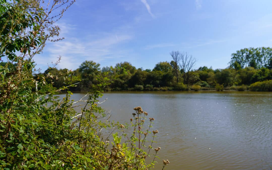 Réserve naturelle de l’Escaille