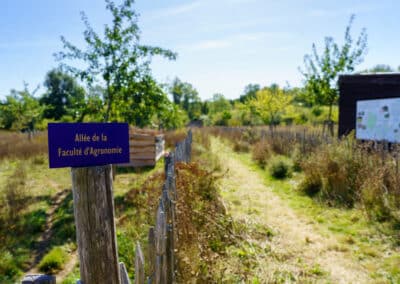 Sentier de la réserve naturelle de l'Escaille, avec un panneau informatif capturé par Denis Closon, mettant en valeur la biodiversité du site.