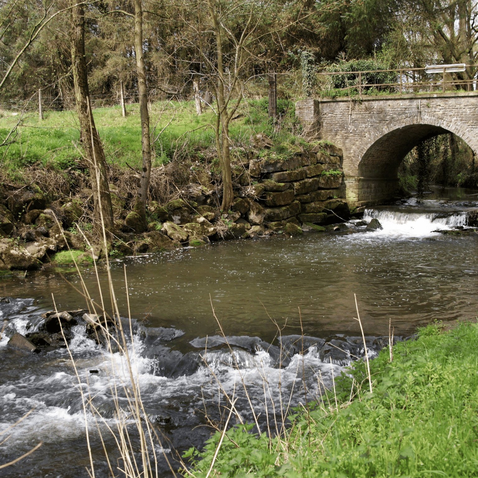 Bernadette a pris une photo lors d'une balade à travers les hameaux de Bossière, un endroit pittoresque souvent apprécié pour ses paysages tranquilles. La balade a peut-être été impactée par des travaux en cours dans cette zone, mais cela ne diminue pas la beauté des environs.