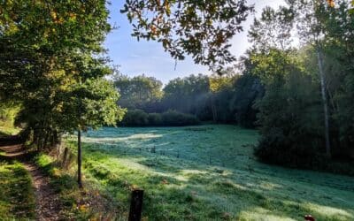 Van Gembloux naar Corroy-le-Château