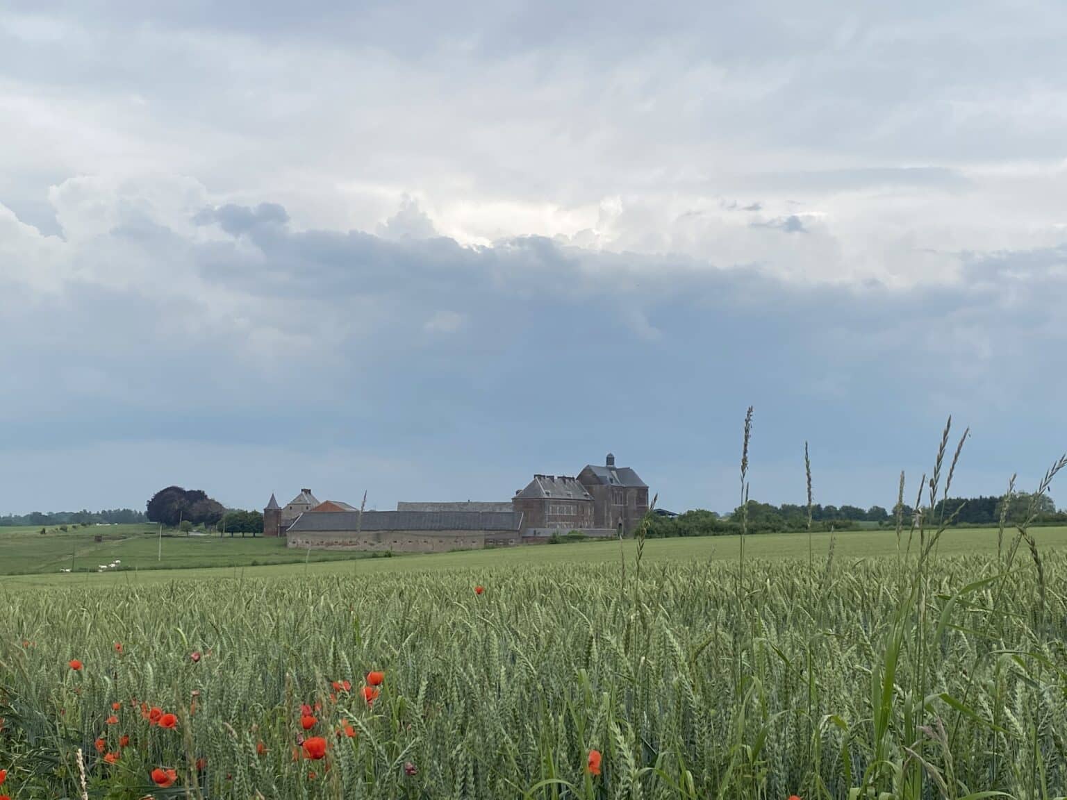 Vue du coquelicot rouge près de l'abbaye, apportant une touche de couleur vive au paysage environnant.