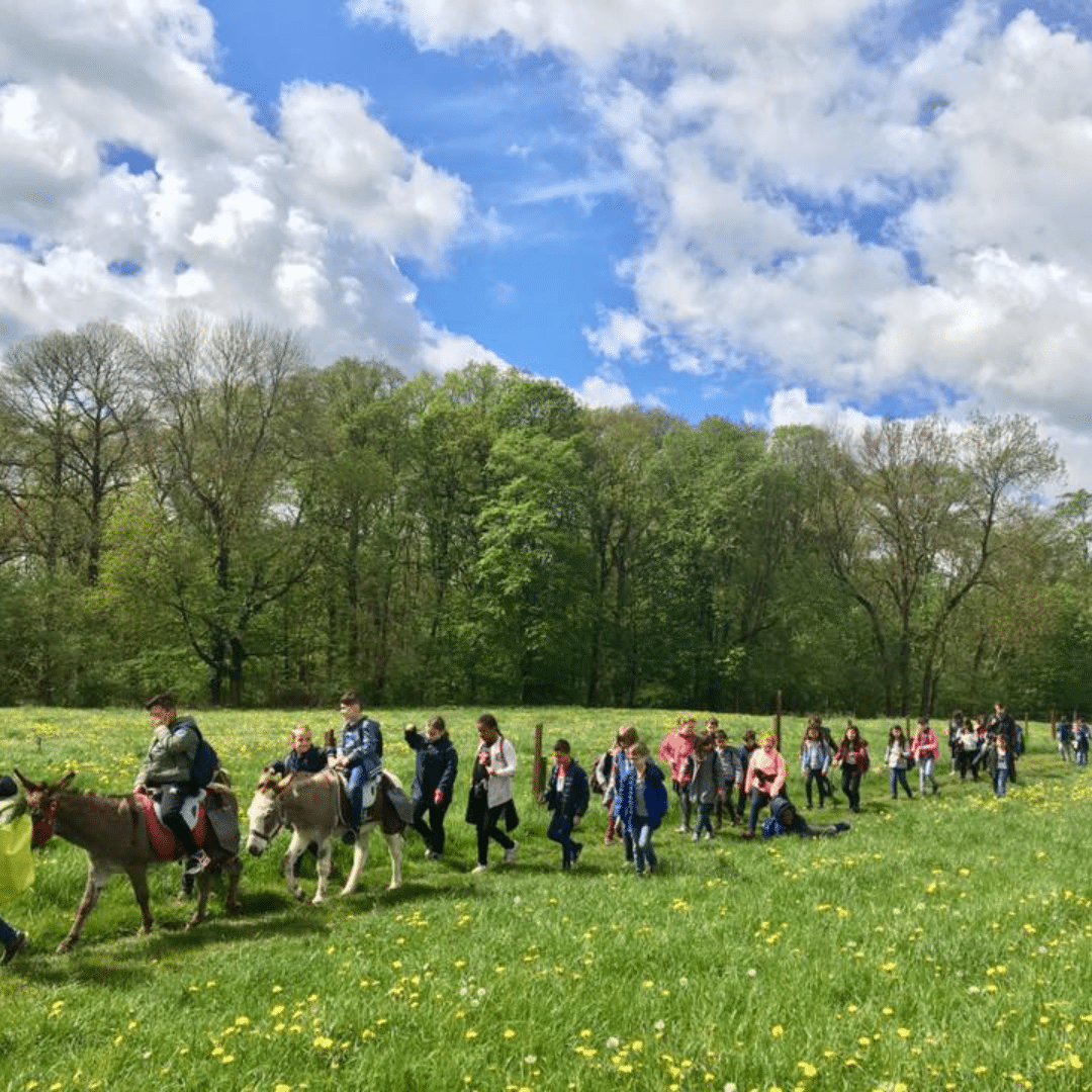 Jeux en famille à Gembloux