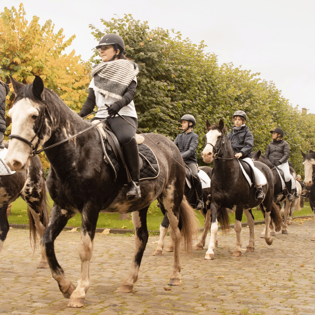 Jeux en famille à Gembloux