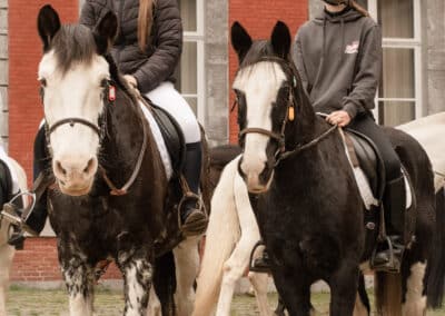 chevaux noir et blanc Saint-Hubert 2024 à Gembloux