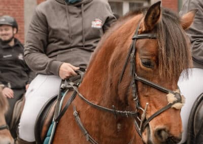 Saint-Hubert 2024 à Gembloux