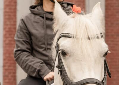 Cheval blanc avec fleur sur la tête