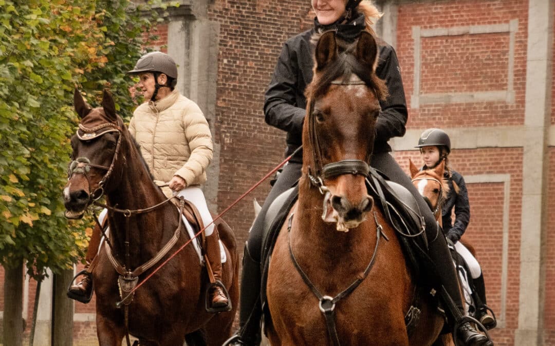 plusieurs chevaux et cavalières