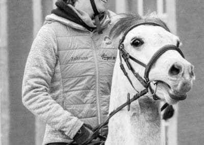 cheval en noir et blanc