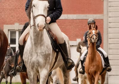 bénédiction chevaux Saint-Hubert Gembloux