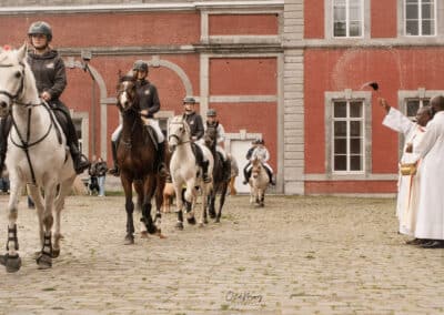 chevaux abbaye de Gembloux