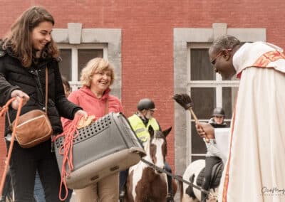 Doyen et animaux de compagnie