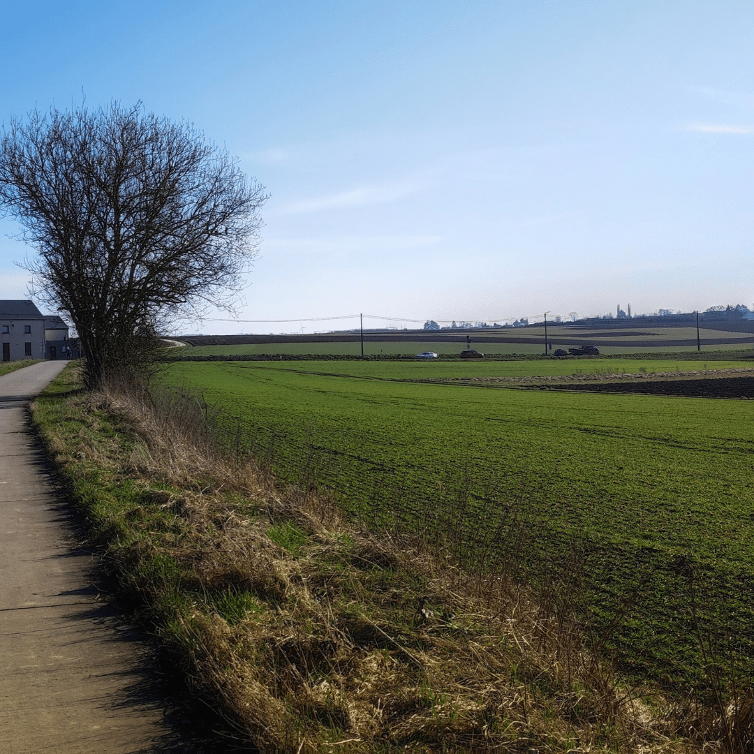 chemin de campagne