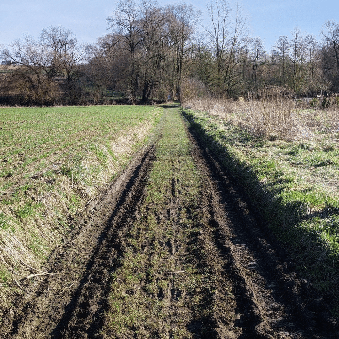 Chemin de la réserve Naturelle de l'Escaille