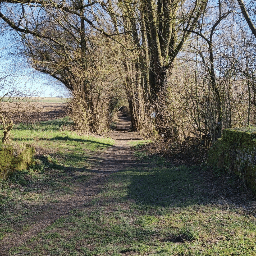 Chemin et bois en sortant de la réserve Naturelle de l'Escaille