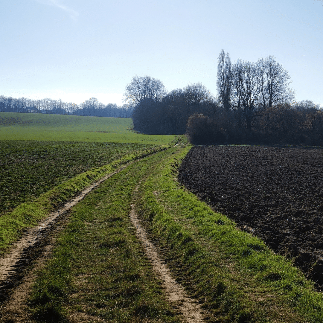 Chemin de campagne